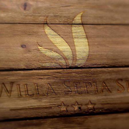 Willa Sepia Spa Wisła Dış mekan fotoğraf