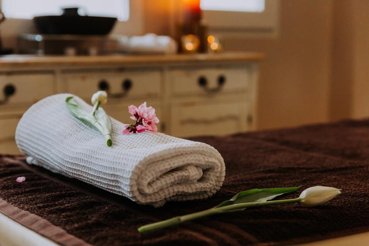 Willa Sepia Spa Wisła Dış mekan fotoğraf