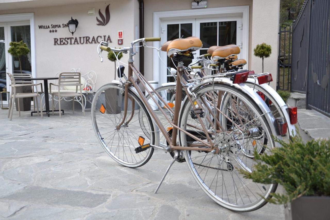 Willa Sepia Spa Wisła Dış mekan fotoğraf